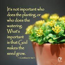 And yet i say unto you, that solomon in all his glory was not arrayed like one of these. It S Not Important Who Does The Planting Or Who Does The Watering What S Important Is That God Makes The Seed Grow Garden Quotes Plants Quotes Bible Quotes