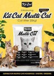 Free shipping cash on delivery best offers. Kit Cat Philippines Home Facebook