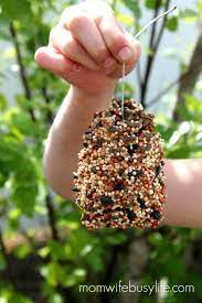One of the most common bird feeders for kids to make, the pine cone bird feeder is also one of the easiest. How To Make A Pinecone Bird Feeder Mom Wife Busy Life Pinecone Crafts Kids Pine Cone Crafts Cones Crafts