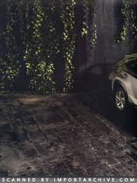 Image result for Autumn Shimmer 2018 NX