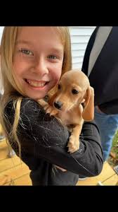 365 days of sharing time with you Lulu❤️ Happy 1 year gotcha day🥳We  couldn’t have asked for a better dog after going through so much💔 My Lu  has brought so much love, joy and happiness everyday since ...