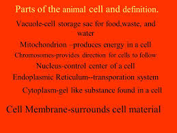 Animal cell parts with meaning. Cells Make Up Plants Cells Make Up All Living Things Ppt Download