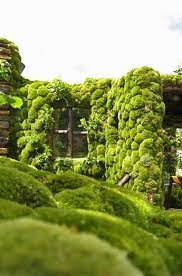 Moss Garden Rooftop Moss Garden Japanese Garden Style Landscape Design