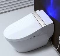 ᐅ【WOODBRIDGE B0960S Auto Flush, Auto Open & Auto Close ...