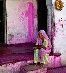 a forest bird never wants a cage india culture india images india colors