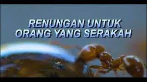 Sifat ini menyebabkan kerusakan pada diri sendiri dan orang lain. Renungan Untuk Orang Yang Serakah Dijamin Anda Bertaubat Youtube