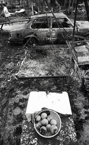 Extrañas apariciones fruto de una tragedia en el lugar dan dicen testigos que por el tramo de carretera que pasa cerca del camping se aparecen las víctimas del trágico accidente que un día asoló las viejas. Fotorrelato 40 Anos De La Tragedia Del Camping De Los Alfaques Espana El Pais