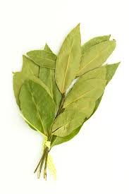 Bay leaves are a fragrant leaf from the laurel tree used as an herb. Substitutes For Curry Leaf That Can Be Used In Case Of An Emergency Tastessence