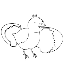 Freehand sketch for adult coloring book page. Hatching Chick Coloring Pages For Kids Best Place To Color