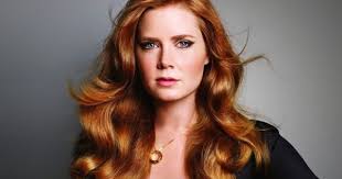 Pin By Baily Hollen On Hair Ideas Honey Blonde Hair Amy Adams Hair Hair Color Auburn