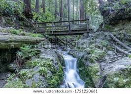 Maybe you would like to learn more about one of these? Shutterstock Puzzlepix