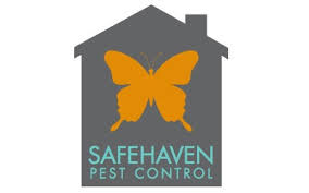 Our residential and commercial pest control solutions are helping residents deal with stubborn pests never to find them returning! Top Dallas Pest Control Companies Termite Control In Dallas Best Pick Reports