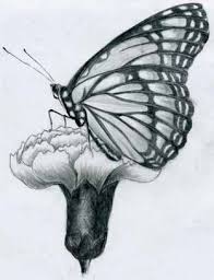 Butterfly Pencil Drawings Pencil Drawings Of Flowers Nature Drawing Sketches