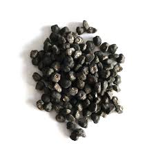 Image result for Sophora velutina