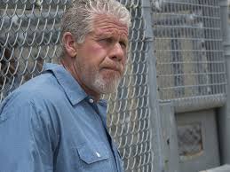 Ron Perlman On 'Sons Of Anarchy' And His Many On-Screen Transformations