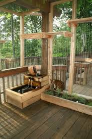 Www Bengaltalk Com View Topic Catarariums Cat Patio Cat Garden Outdoor Cat Enclosure