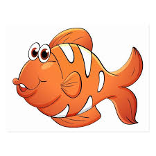 Isolated Tropical Fish On White Postcard Zazzle Com In 2020 Clown Fish Cartoon Tropical Fish Clown Fish