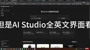 google ai studio设置中文- 抖音