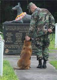 The National War Dog Cemetery A Memorial Honoring The Dogs That Were Killed While Serving With The United States War Dogs Military Dogs Military Working Dogs