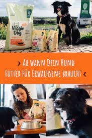 Bis wann sollte man welpenfutter geben. Welpenfutter Auf Erwachsenenfutter Umstellen So Geht S