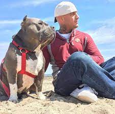 Tonka And Little P Join Our Oneluckypup Mr Bones Co And Rescue The Runway Facebook