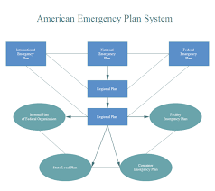 American Emergency Plan Flow Chart Design How To Plan