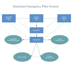 american emergency plan flow chart design how to plan