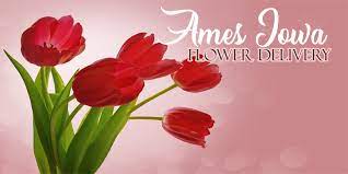329 main st ames, 50010. The 8 Best Options For Flower Delivery In Ames Iowa 2021