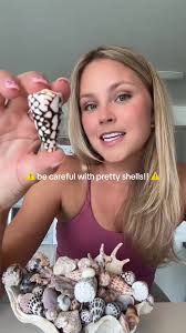 Allthemods Seashelf of Aquatic Filtration