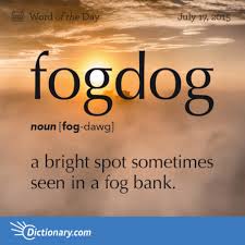 Fogdog A Bright Spot Sometimes Seen In A Fog Bank Palabra Del Dia Palabras Vocabulario