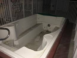 picture of white buffalo hotel