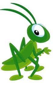 Arts & entertainment in mexico city, mexico. 53 Ideas De Grillos Grillos Insectos Chapulin Insecto
