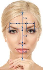 Image Interface For Golden Ratio Face Eyebrowstutorial Eyebrowstutorial Face Golden Image Interface Ratio Face Proportions Human Body Art Beauty