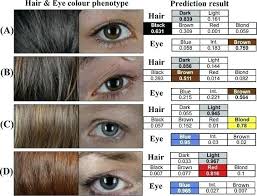 Hair Color Genetics Chart