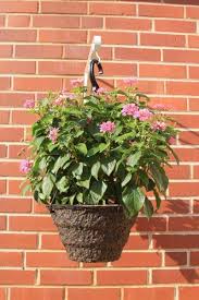 Pin On New Gardening Know How Articles