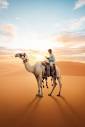 Royal Eagle Desert Safari Ticket | DoJoin