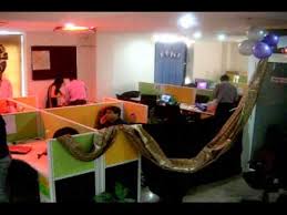 These sunny nooks are as cozy as it gets. Office Anniversary Celebration Decoration Ideas Novocom Top