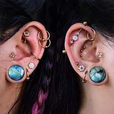 Ear Piercing Industrial Conch Rook Tragus Helix Stretched Lobes Curated Ear Ear Project Earings Piercings Ear Jewelry Cute Ear Piercings
