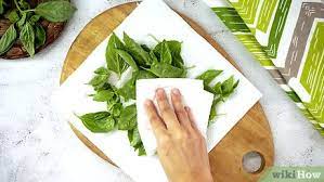 Basil is every gardener's most loyal floral friend. The Easiest Way To Store Fresh Basil Wikihow
