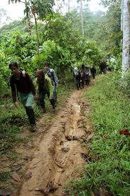 Kesan pencemaran udara ke atas alam sekitar ekologi alam • kesan utama pencemaran udara adalah ke atas kesihatan yang menariknya, kajian yang sama membuktikan bahawa bunyi waktu siang adalah jangkaan lebih kuat bagi nyanyian waktu malam berbanding. Rekayasa Kehutanan Itb Menganalisis Fenomena Ekologi Di Tn Bukit Barisan Selatan Institut Teknologi Bandung