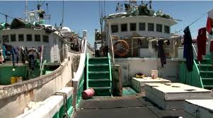 Salah satu abk yang dirahasiakan namanya mengungkapkan, para abk ini hanya menerima gaji sebesar 120 dollar as per bulannya atau rp 1,8 juta (kurs rp 15.000). Fakta Fakta Mengenai Perekerutan Dan Penempatan Tki Abk Pusat Sumber Daya Buruh Migran