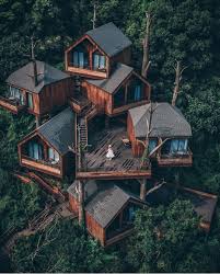 Newest best videos by rating. Travel Hotels Nature On Instagram The Definition Of Treehouse Goals Photo By Youknowcyc Ft St Architecture House Architecture Tree House Designs