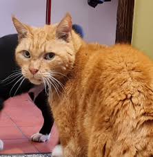 Shoutout to Wesley at Chisholm Corner for kindness