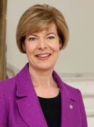 How to Use This Template