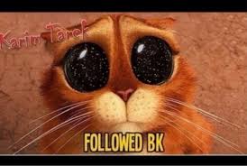 3aitham Hithamnabil Likes Askfm