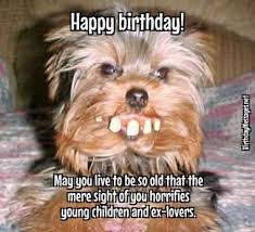 Funny Happy Birthday Wishes For A Young Man Birthday Wishes Funny Birthday Wishes Happy Birthday Quotes Funny Funny Happy Birthday Wishes Birthday Wishes Funny