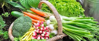 Frequent waterings during hot spells, shade cloths, and mulch on top of soil can all help. Vegetables That Grow Well In The Shade Ecohome