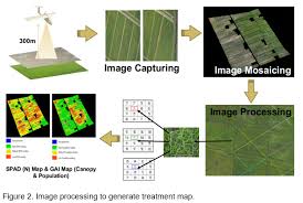 Maybe you would like to learn more about one of these? Saving Fertilizer In Malaysia S Large Scale Paddy Production Through Precision Farming Fftc Agricultural Policy Platform Fftc Ap