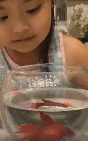 Daddy, I'm Not Ready For This"