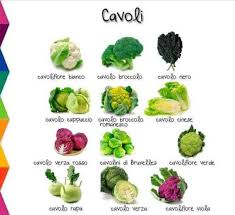 Cavoli Learning Italian Italian Language Learning Italian Vocabulary